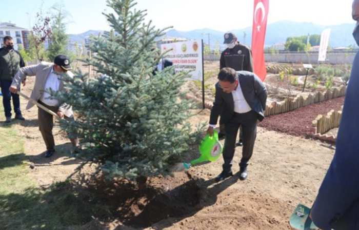 İlk Dersimiz Fidan