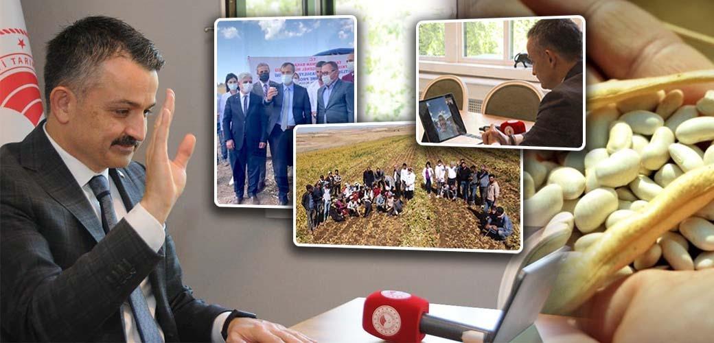 KURU FASÜLYE ÜRETİMİNDE REKOR