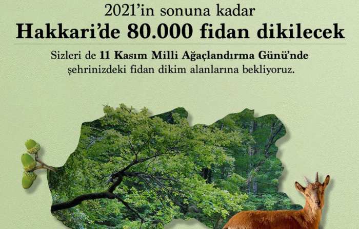 Yıl sonuna kadar 252 milyon fidan dikilecek