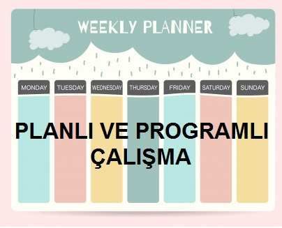 PLANLI VE PROGRAMLI ALIMA