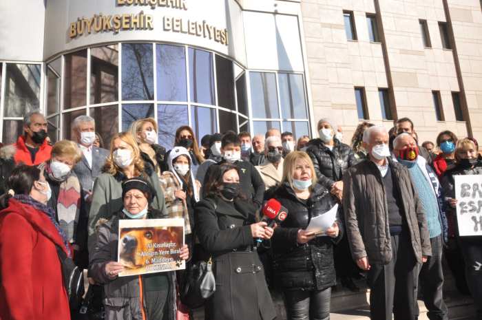 Hiçbir kurumun gücü belediyelere bakımevi kurdurmaya, kısırlaştırma yapmaya yetmedi