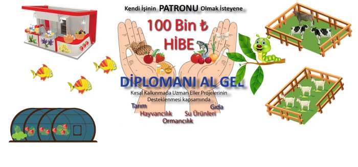 KENDİ İŞİNİN PATRONU OLMAK İSTEYENE