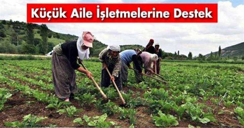 Küçük Aile İşletmesi Desteği Askıya Çıkarıldı