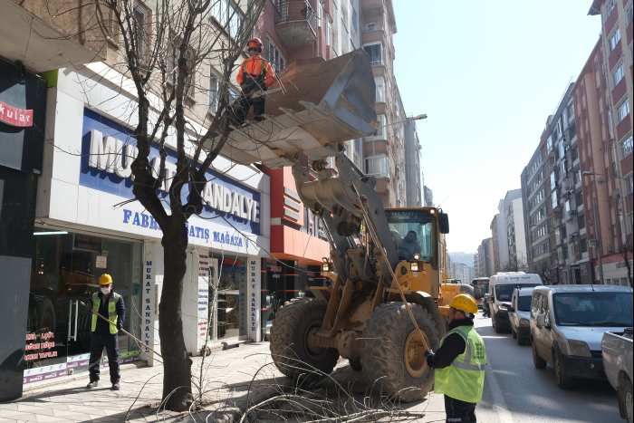 AĞAÇLAR BAHARA HAZIRLANIYOR