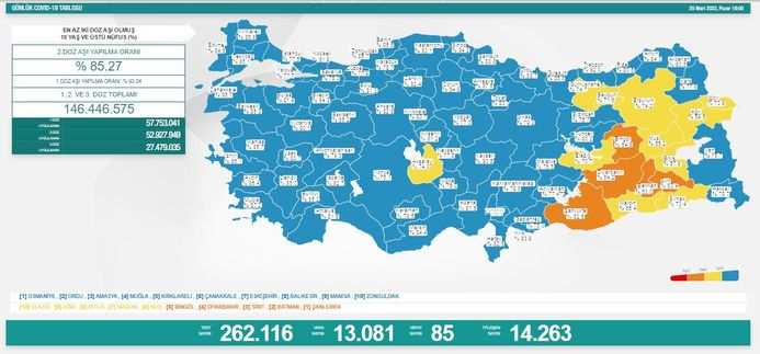 Koronavirüs salgınında yeni vaka sayısı 13 bin 81