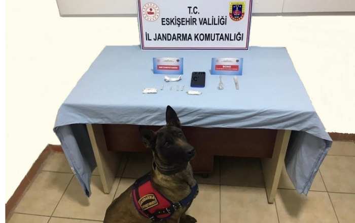 Narkotik Köpeği Alfa’dan Kaçamadılar