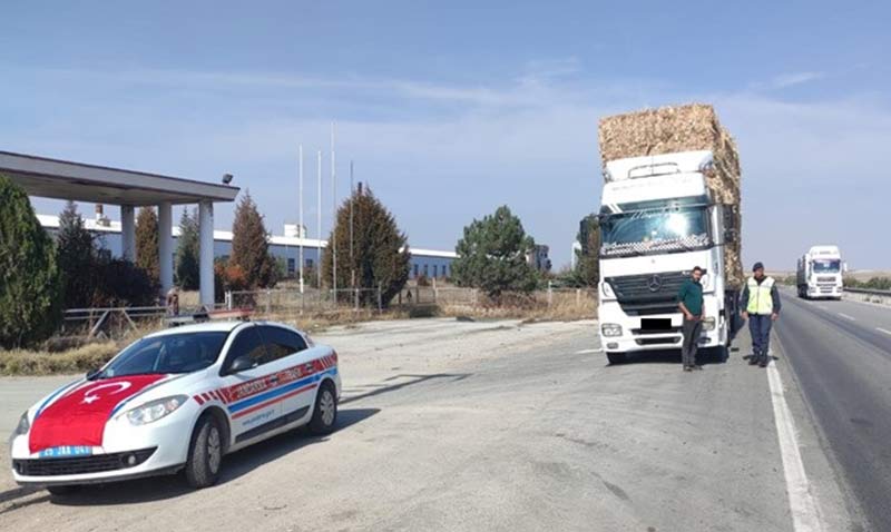 Jandarmadan 14 ilçede eş zamanlı denetim