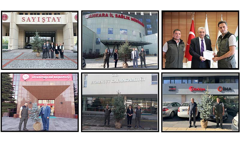 100. Ylda 100 Kuruma 100 Fidan