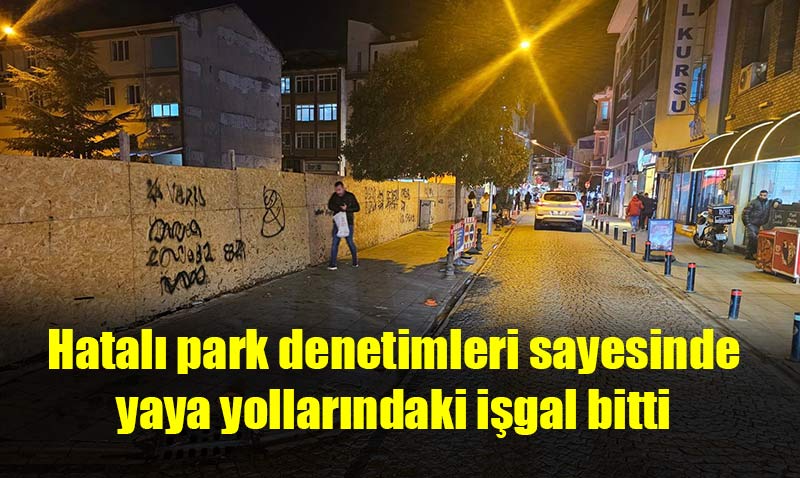Eskiehir’de hatal parklara ceza yad