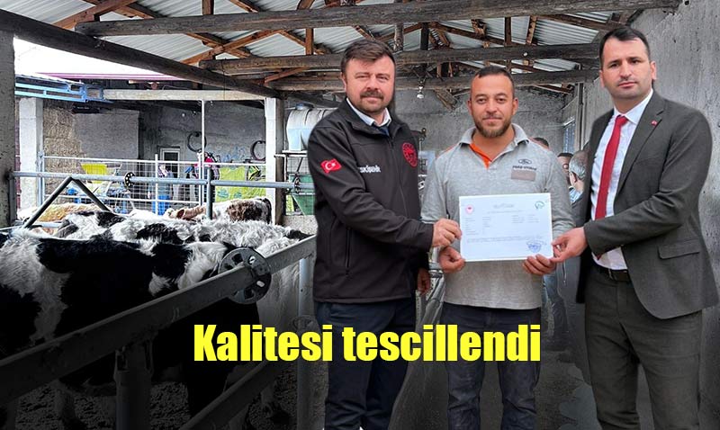 Seyitgazi’nin tek hastalıktan ari işletmesi sertifikalandırıldı