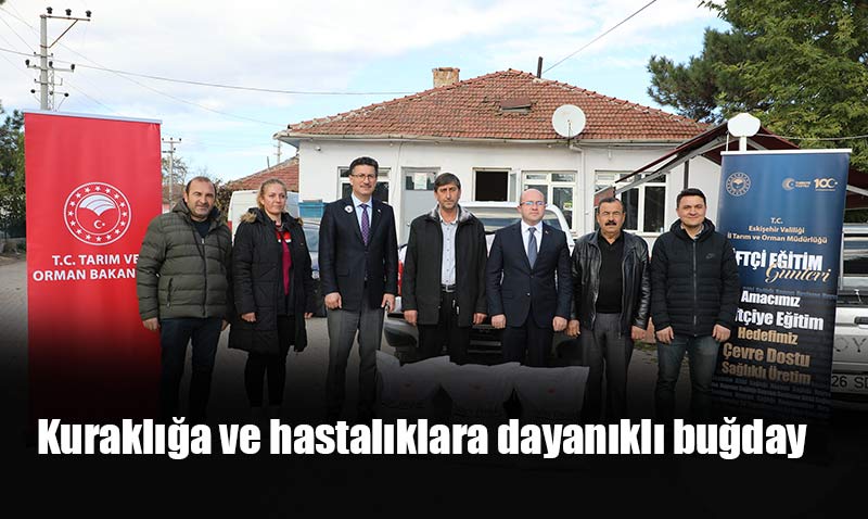 Taner Ve Seluklu Buday Tohumlar Eskiehirde