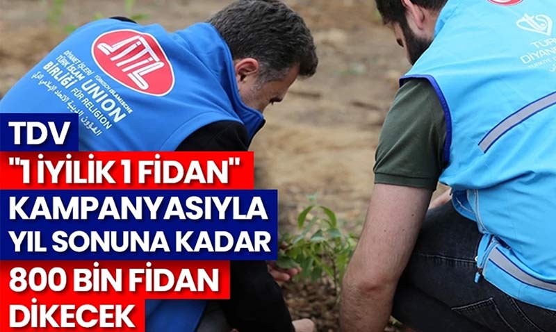 TDV, "1 İyilik 1 Fidan" kampanyasıyla yıl sonuna kadar 800 bin fidan dikecek