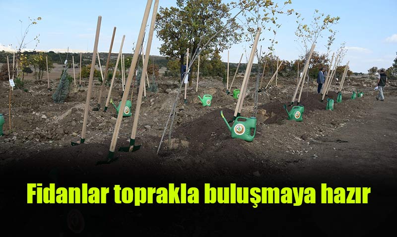 11 Kasm Milli Aalandrma Gnne Hazrz