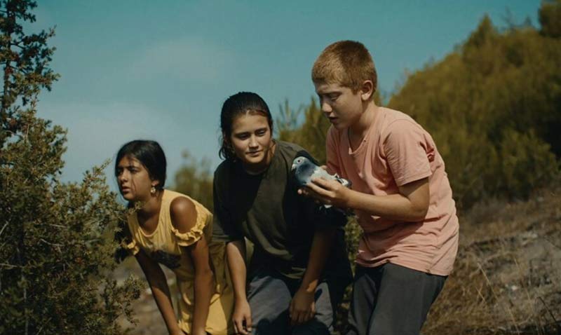  Arkada 11inci Boazii Film Festivalinde
