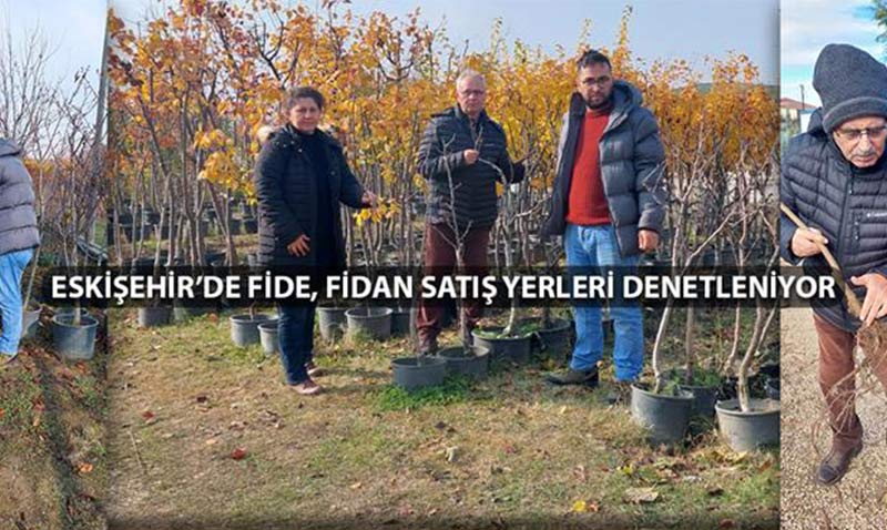 Eskiehirde fide, fidan sat yerleri denetleniyor