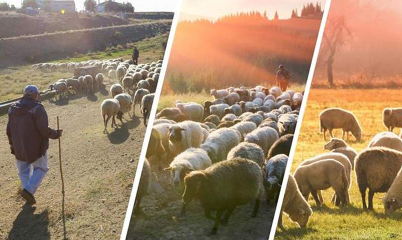 Bakanlktan yaklak 400 milyon liralk sr yneticisi destei