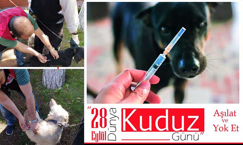 Kuduz hastalığına dikkat