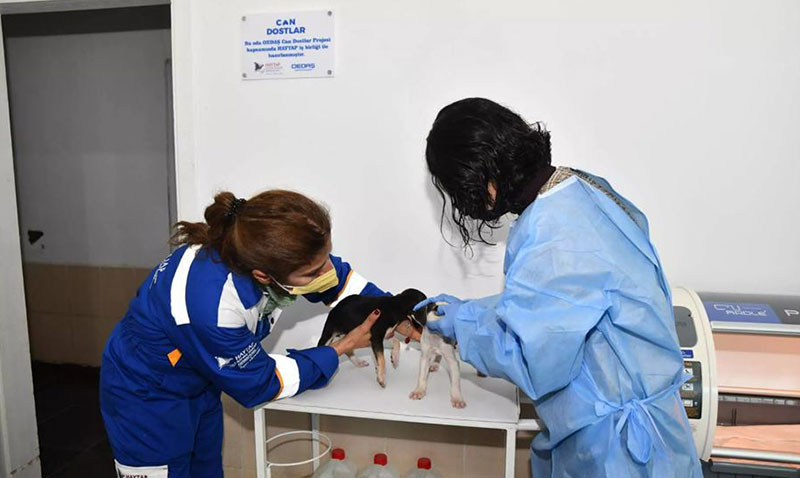 OEDAŞ Can Dostlar için STK ve yerel yönetimlerle iş birliği yapıyor