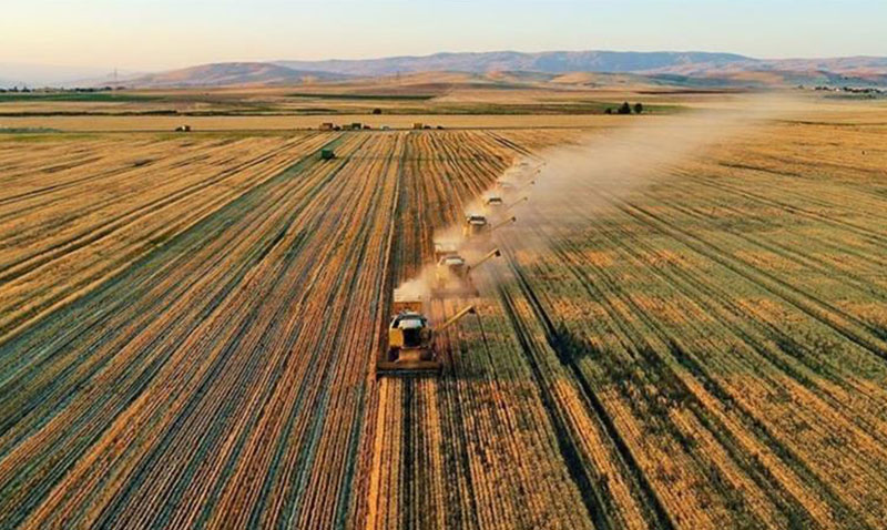 TARIM VE ORMAN BAKANLIINDAN 33 SORUDA PLANLI RETM REHBER