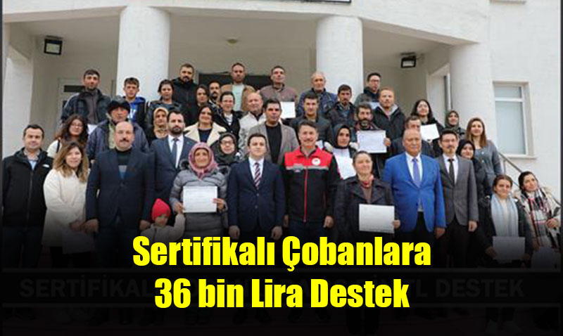 SERTİFİKALI ÇOBANLARA 36 BİN TL DESTEK