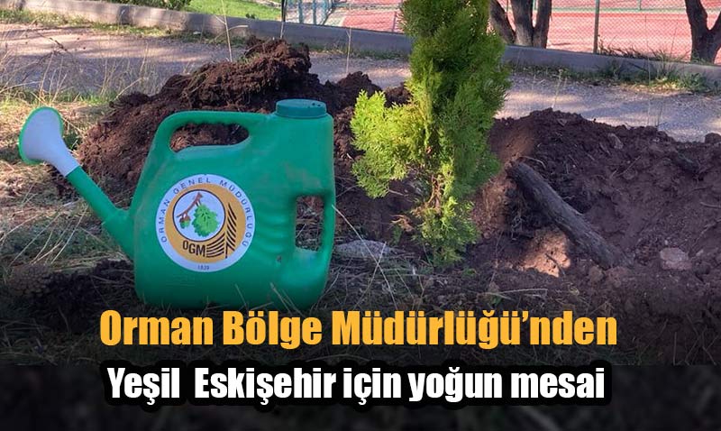 Eskişehir’de 2023 yılında 1 milyon 264 bin fidan diktiler