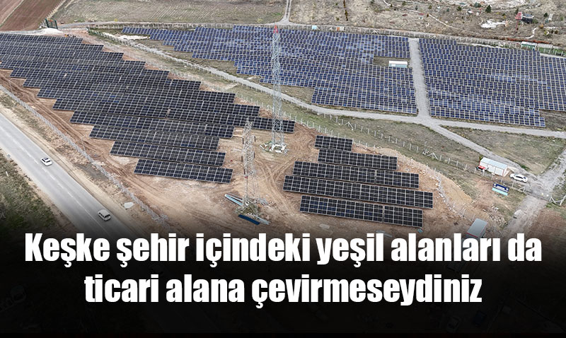 Şehir içindeki yeşil alanları ticaret alanı yapan büyükşehirden ekolojik çalışma