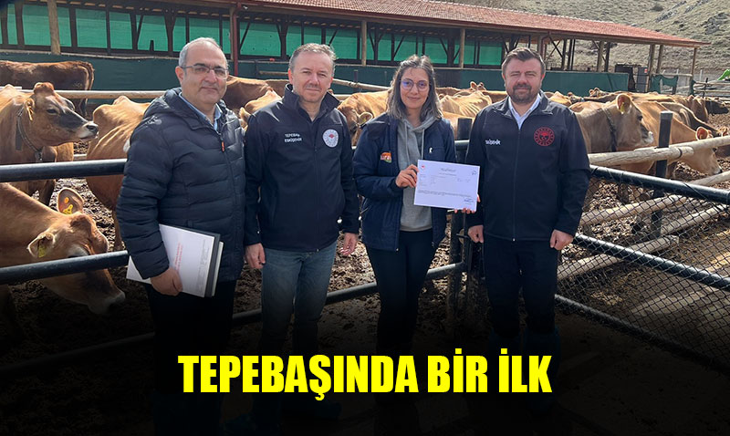 Tepebanda bir ilk