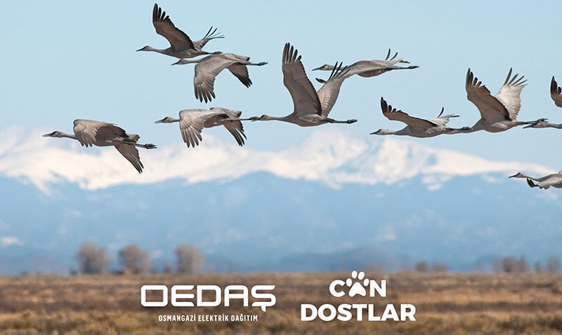 OEDAŞ ‘Can Dostlar’ projesinin kapsamını genişletti