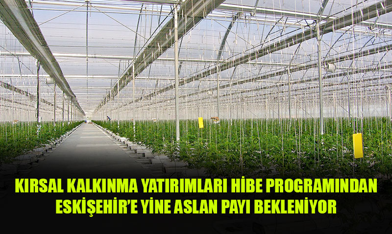 Krsal Kalknma Yatrmlar Hibe Programndan Eskiehire Yine Aslan Pay 