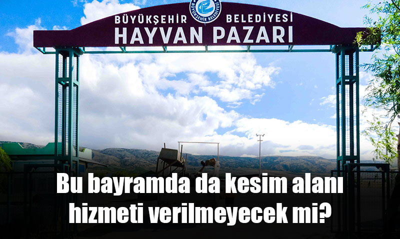 Eskişehir’de Kurbanlık satış başvuruları başlıyor