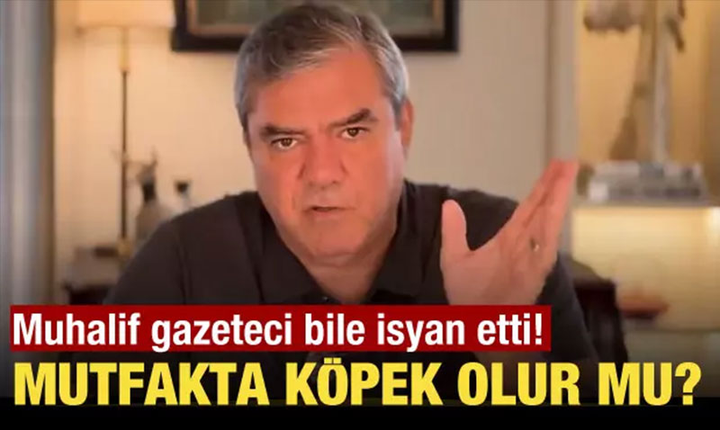 Muhalif gazeteci Ylmaz zdil bile isyan etti! Mutfakta kpek olur mu?