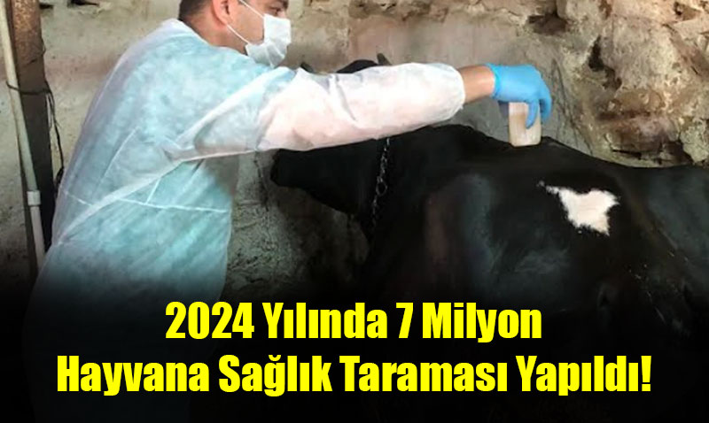 Eskişehir’de Ahır Ve Ağılda Sağlık Hizmeti Devam Ediyor