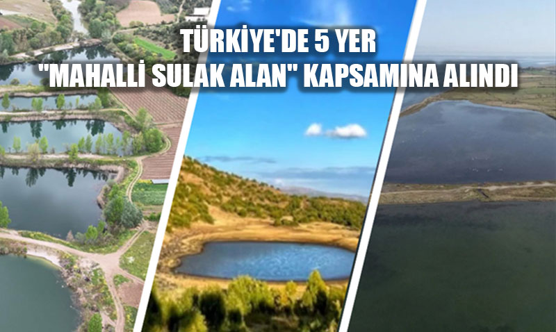 Türkiye’de 5 Yeni Alan "Mahalli Sulak Alan" Kapsamına Alındı