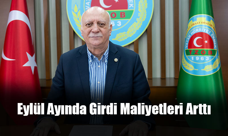 Eylül Ayında Girdi Maliyetleri Arttı, Üretici-Market Fiyat Farkı Patateste %335’i Aştı