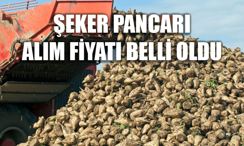 2025-2026 Üretim Yılı Şeker Pancarı Alım Fiyatı Açıklandı