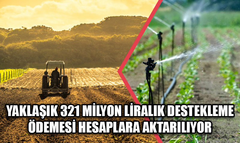 320 Milyon TL’yi Aşkın Tarımsal Destekleme Ödemesi Hesaplarına Aktarılıyor