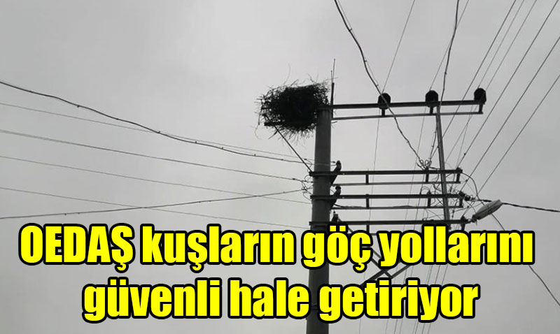 OEDAŞ, Kuşların Göç Yollarını Güvenli Hale Getiriyor
