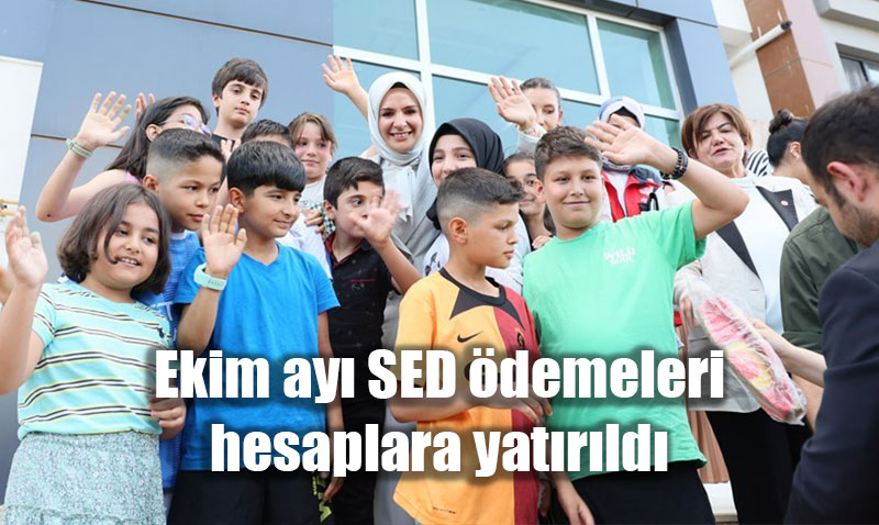 Ekim Ayı Sosyal ve Ekonomik Destek (SED) Ödemeleri Hesaplara Yatırıldı