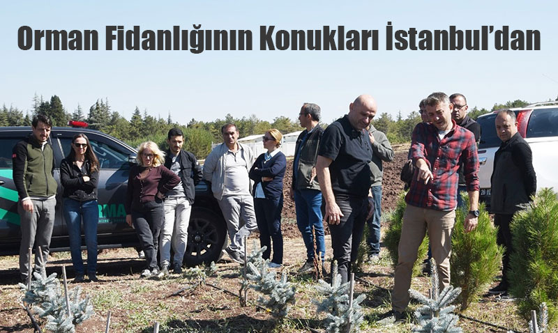Eskişehir Orman Fidanlığı, İstanbul’dan Teknik Heyeti Ağırladı