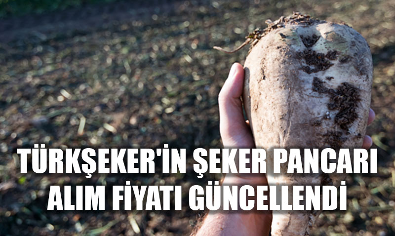 TÜRKŞEKER Şeker Pancarı Alım Fiyatını Güncelledi