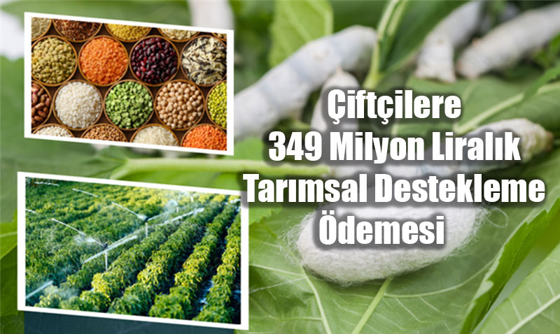 Çiftçilere 349 Milyon Liralık Tarımsal Destekleme Ödemesi