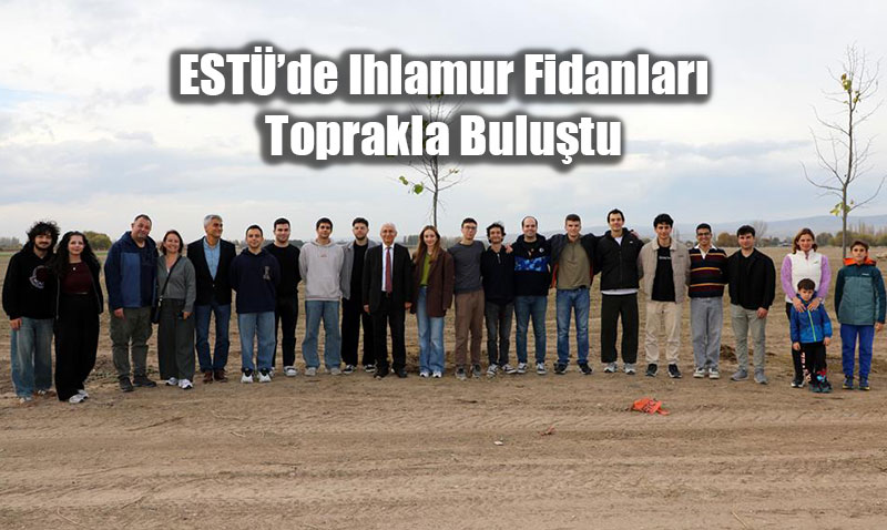 ESTܒde Ihlamur Fidanlar Toprakla Bulutu