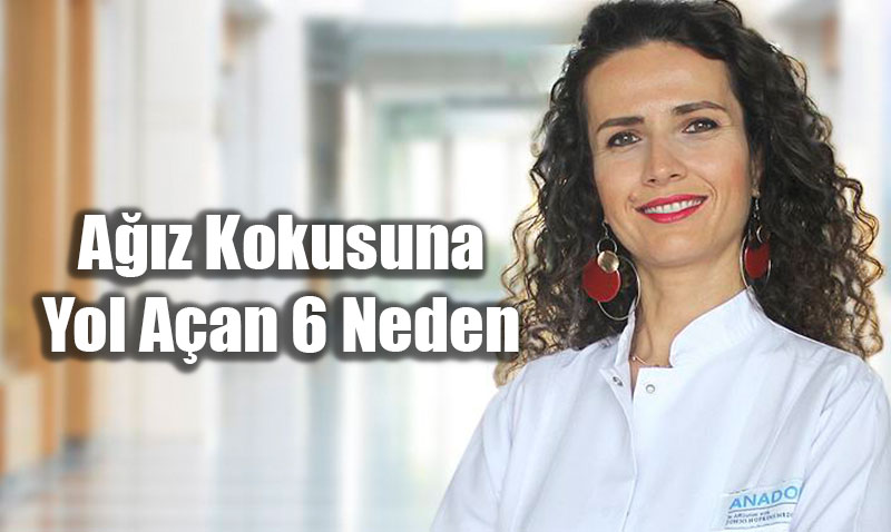 🦷 17-23 Kasm Toplum Az ve Di Sal Haftas