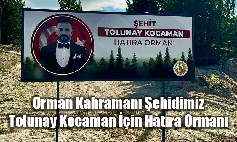 ehit Orman Kahraman Tolunay Kocaman Adna Hatra Orman Oluturuldu