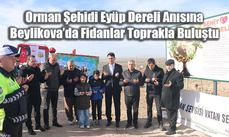 Orman ehidi Eyp Dereli Ansna Beylikovada Fidanlar Toprakla Bulutu