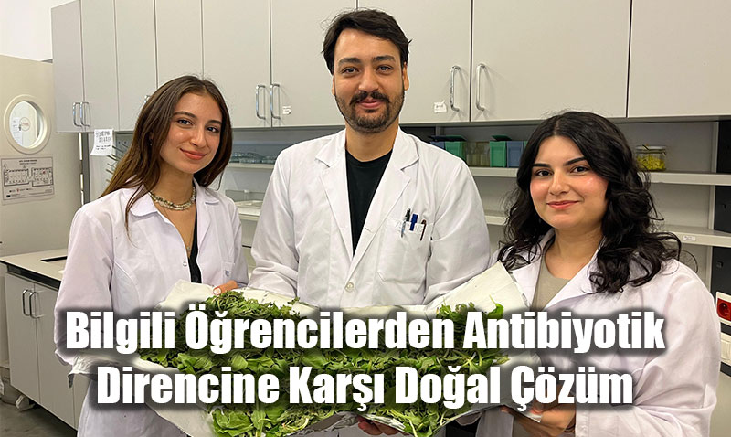 Bilgili rencilerden Antibiyotik Direncine Kar Doal zm: Sinir Otu Mucizesi!