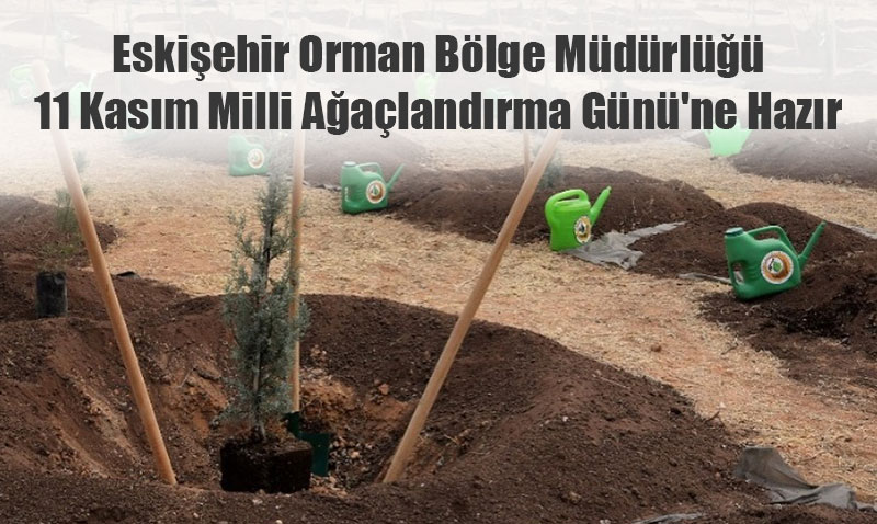 Eskiehir Orman Blge Mdrl: 11 Kasm Milli Aalandrma Gn’ne Hazr