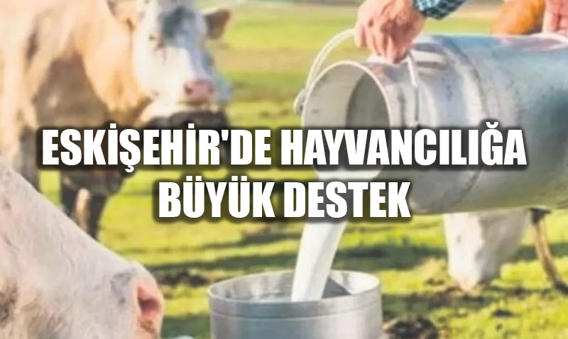 Eskiehir Hayvanclna Dev Destek: 10 Milyon TL’lik i St demesi Hesaplarda!