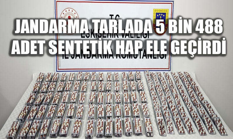 Jandarma�dan Zehir Tacirlerine Darbe: Tarladaki �ardakta 5 Bin 488 Hap Ele Ge�irildi!