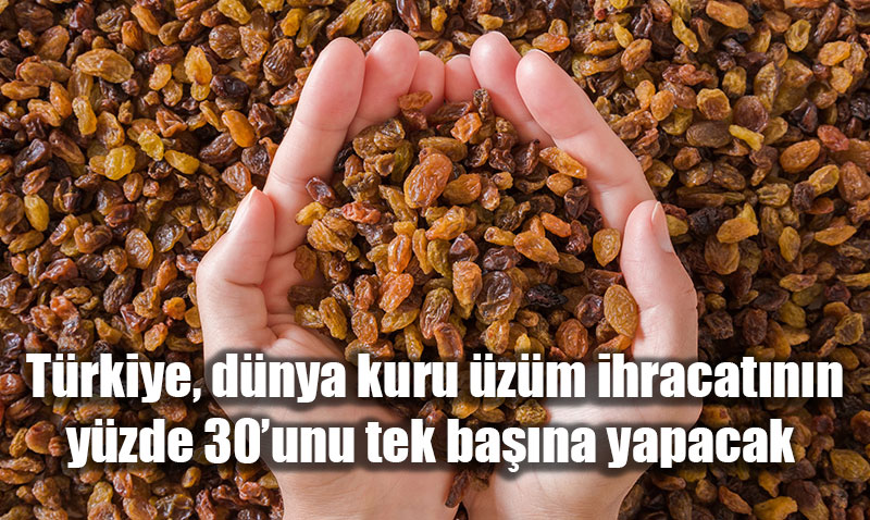 Trkiye, Dnya Kuru zm hracatnn Yzde 30’unu Tek Bana Yapacak